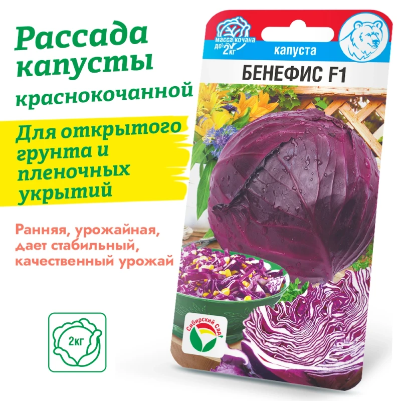 Капуста Краснокочанная Бенефис