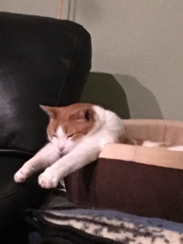 DC0B6E18-2679-400E-8323-6EBBA46564E1