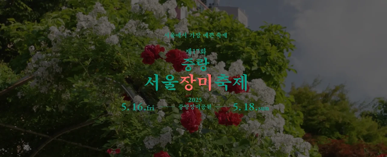 2025 서울 중랑구 서울장미축제 장미터널 봄꽃축제 포토존