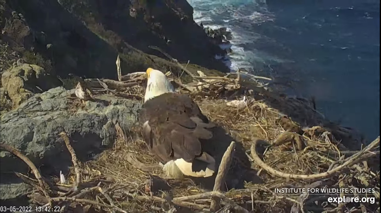 9850483F-2781-4647-BB7F-9B9D8C8FC955