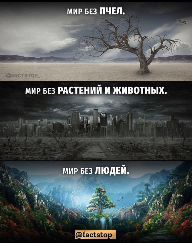 [Изображение: 3747b3809a618fb895d13b0799b941fe.jpg]