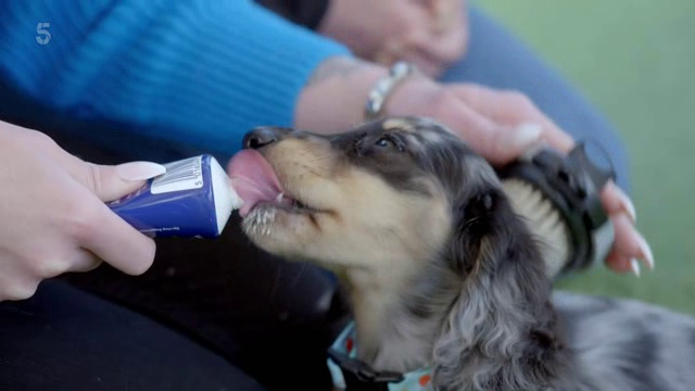 [Image: vi0argh8q09a.png]