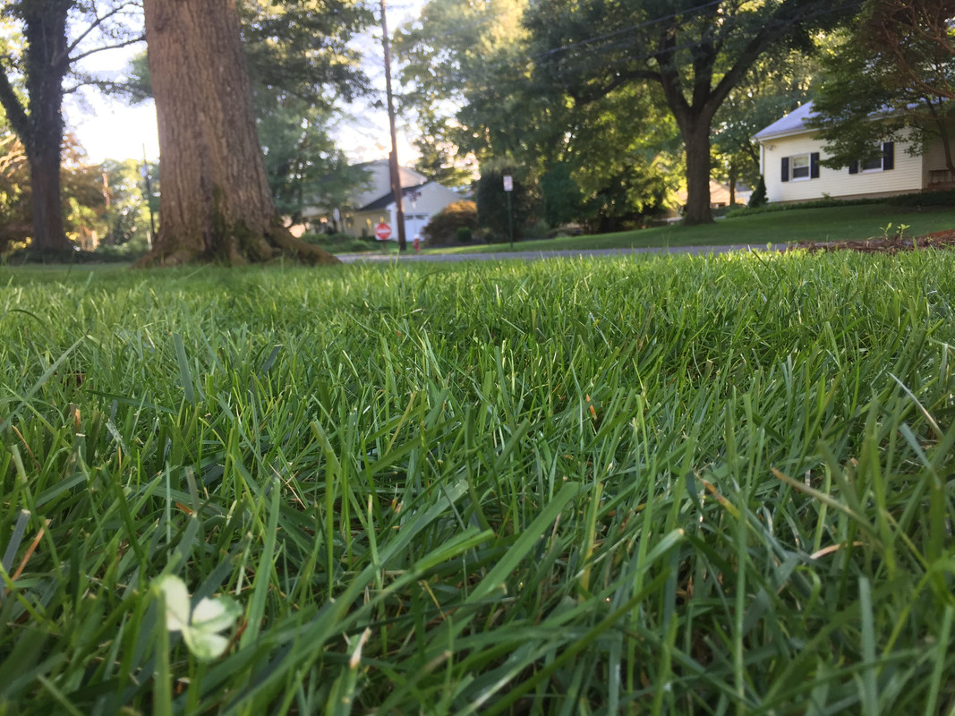 F84F6FA6-0ACB-462B-B374-C97E608C2EB2