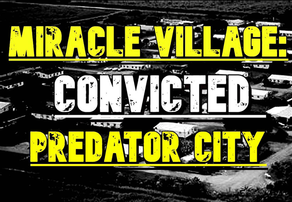 საკანონმდებლო სტომაქი