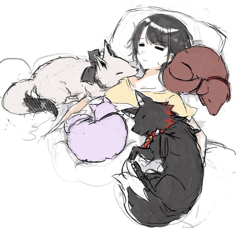 shirakami-fubuki-nekomata-okayu-inugami-korone-ookami-mio-and-oozora-subaru-hololive-drawn-by-toum