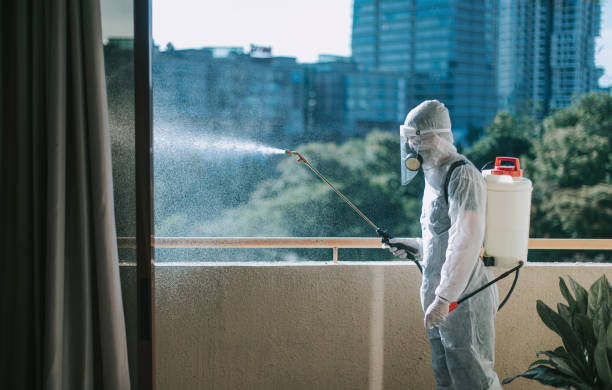 Orlando Termite Treatment