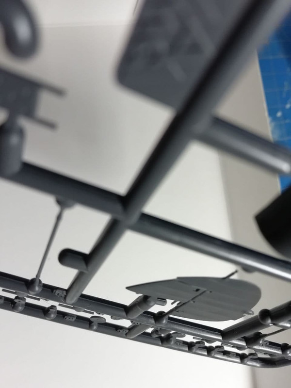 photo_2021-05-25_21-10-39 (2)