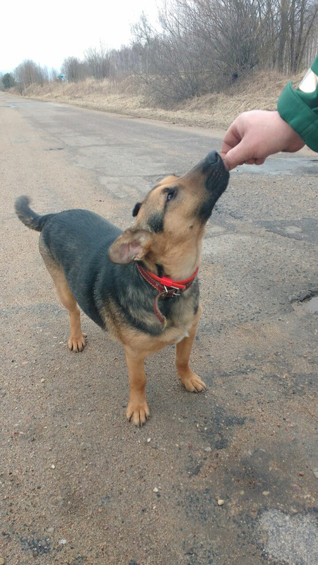 IMG-62dc0e1f1d91ad3581381288cbd4da50-V