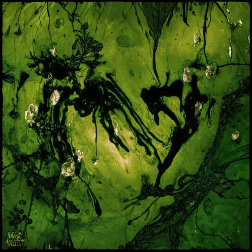 00-dyslecta-sleck-dust-ep-nc019-web-2026