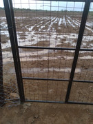 Grass-seedbank-Harrow-tilling