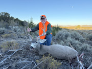 [Image: IMG-6690.jpg]