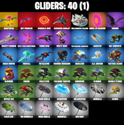gliders-comp