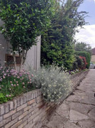received-2913458765428960