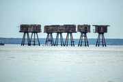 IMG-0274
