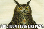 Owl no pizza