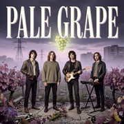 260913-Pale-Grape-Gemini-Generated-Image-vs46i0vs46i0vs46-jpeg-xcf