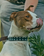 Screenshot_20230623_193629_Gallery