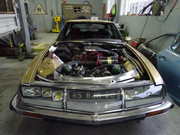 DSC07854.jpg