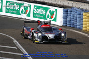 24 HEURES DU MANS YEAR BY YEAR PART SIX 2010 - 2019 - Page 28 2015-LM-31-Ed-Brown-Johannes-Van-Overbeek-Jon-Fogarty-09