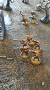 20211101_Salamanders_Taus (11)