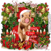 19-Laguna-Christmas-Dreams-Sig-Pig-Shelly