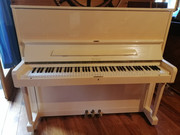 e279ad0e-8264-11ef-9c8a-0b0b158238c9