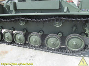 IMG-8137