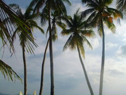 photo 49 2025 12 17 21 28 21