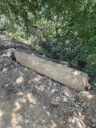 D71A4105-EDEC-448B-B1F7-1325563A8A40