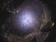 Photo_2025-02-2609_20_34_061