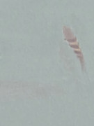https://i.postimg.cc/wytpPfVg/20260220-141721.jpg