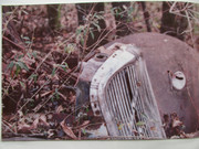 IMG-2465.jpg