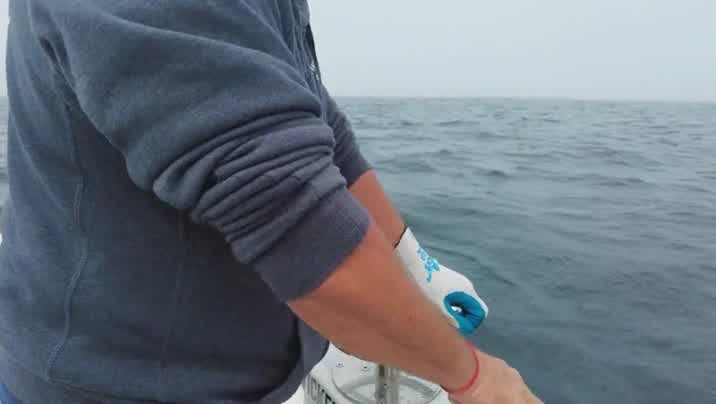 [Image: gfdrr5z371rw.jpg]