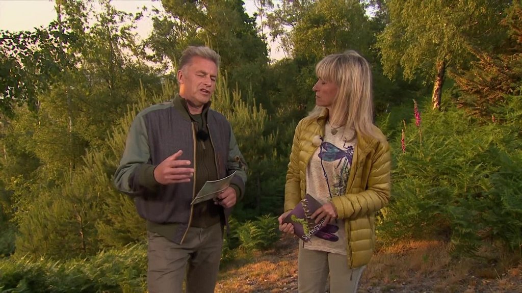 [Image: pa9pyotd65q6.jpg]