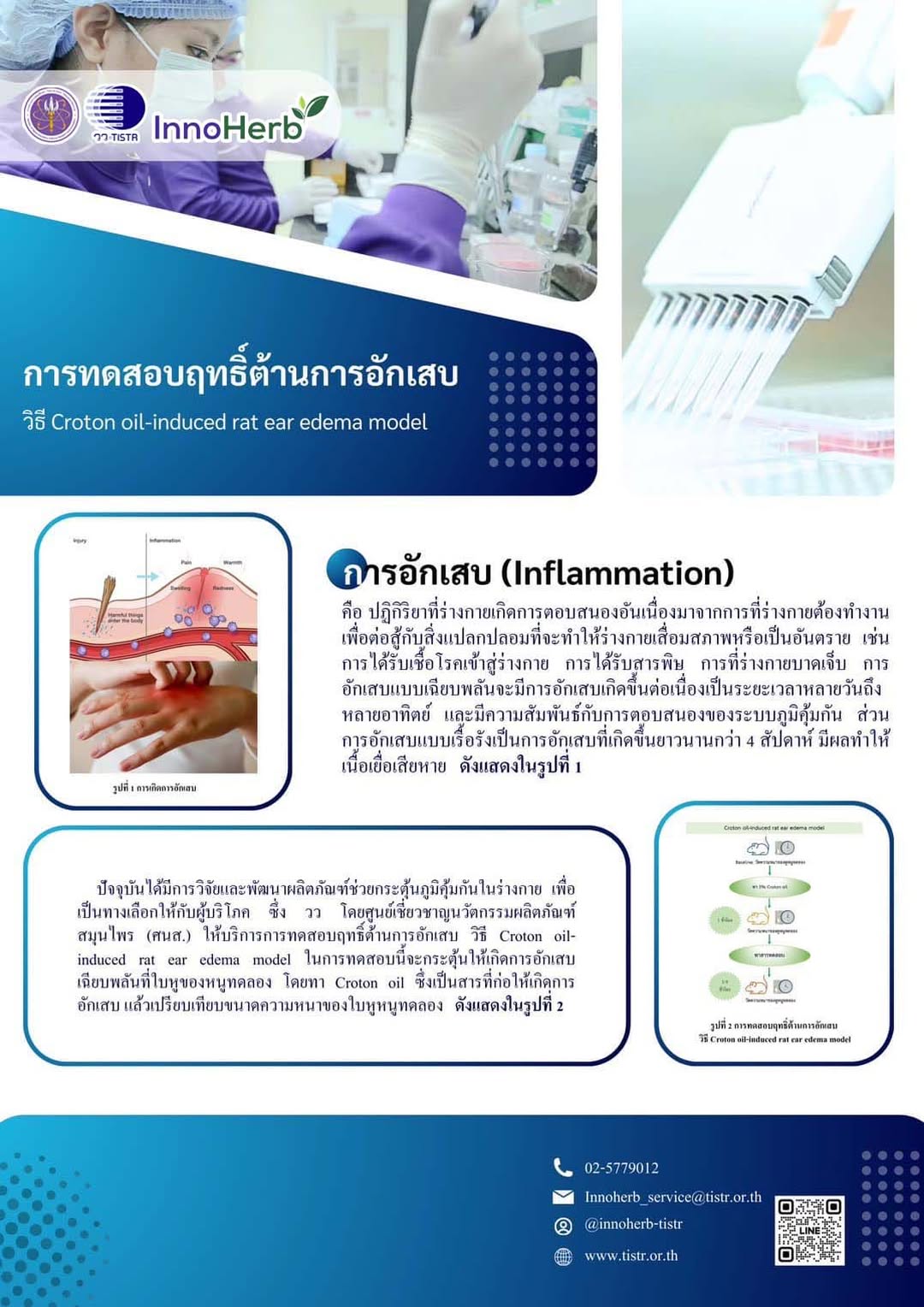 บริการทดสอบฤทธิ์ต้านการอักเสบ