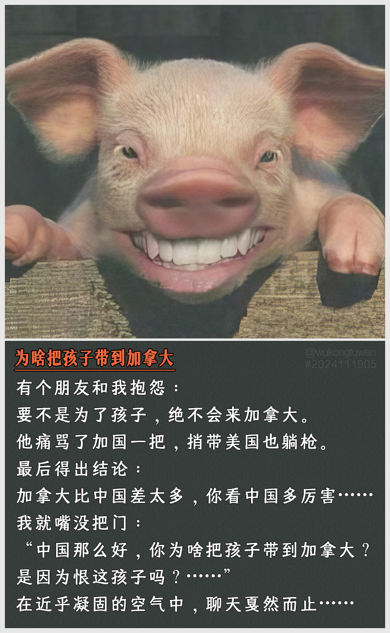 https://i.postimg.cc/x0H7B4YH/2024111905.jpg