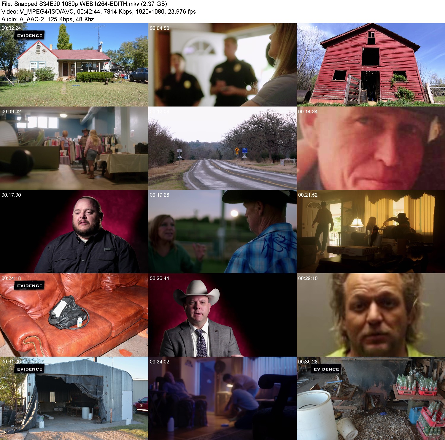 [Image: pb1n2i38kqgm.jpg]