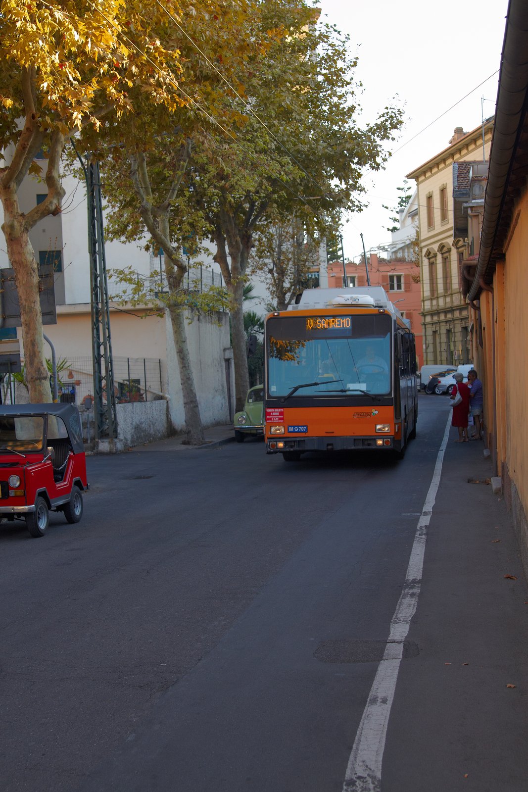296300.jpg
