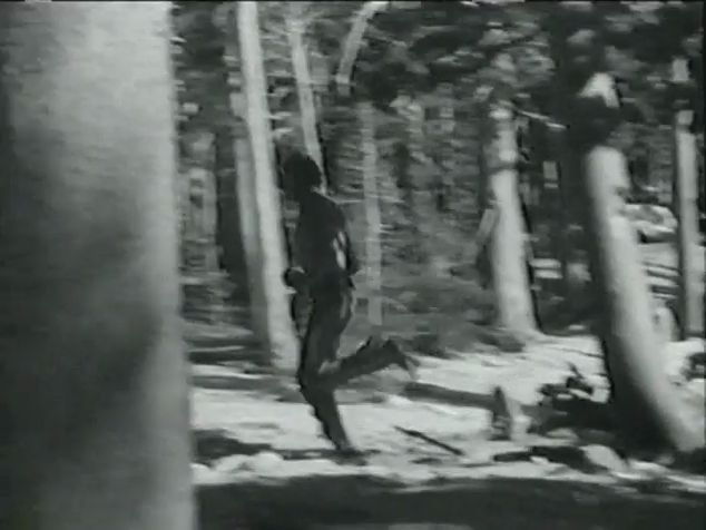 [Image: g4eyud9yt1p2.png]