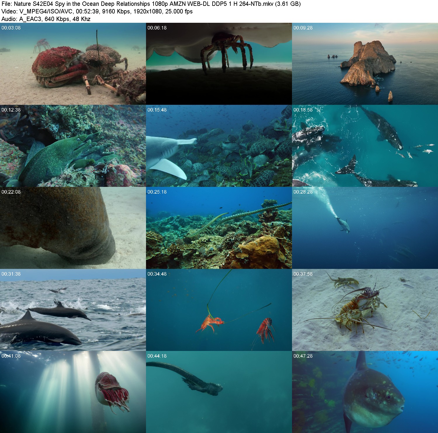 [Image: 1w6f7ftgn5if.jpg]