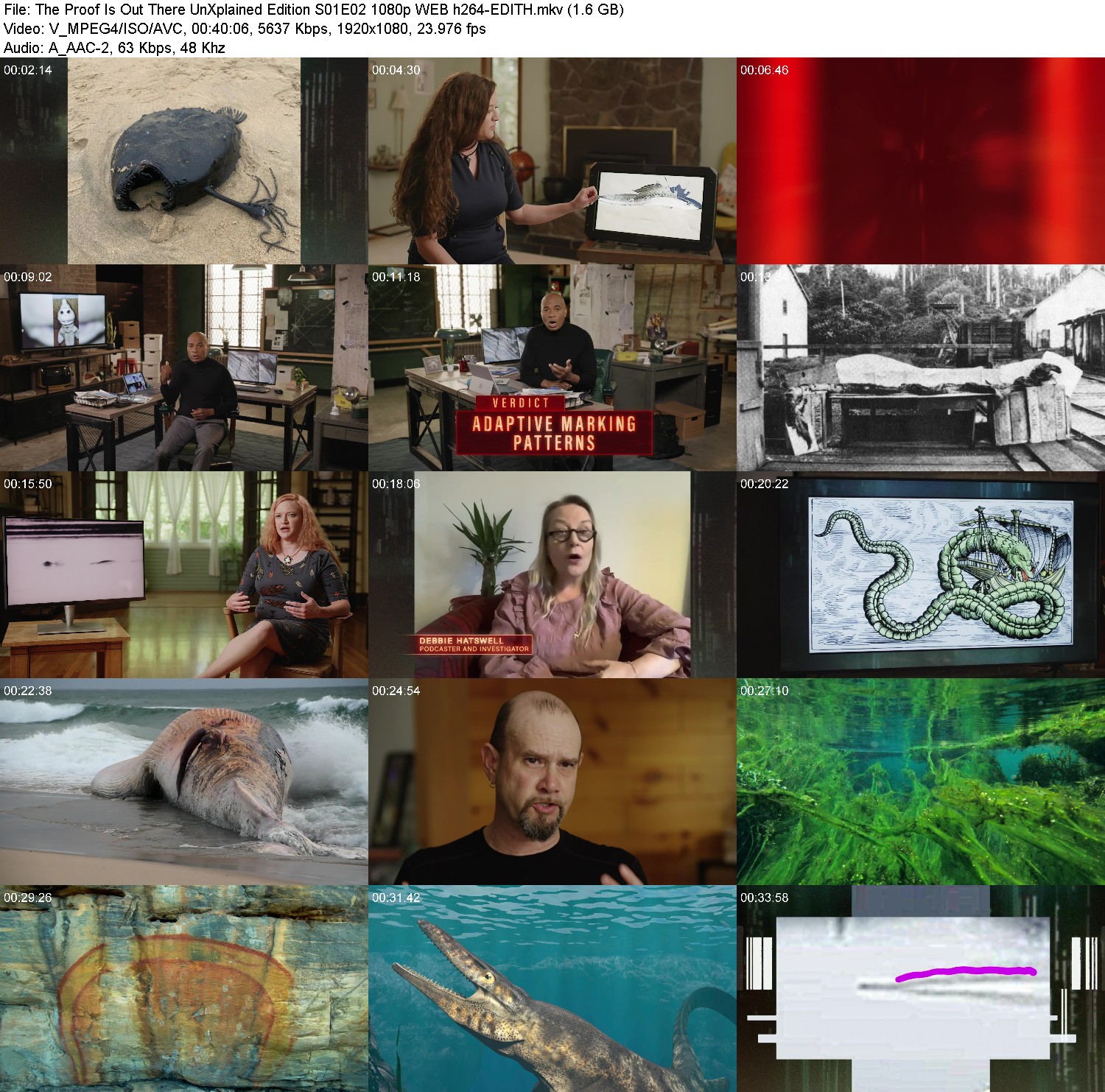 [Image: tn4z0hqz76ab.jpg]