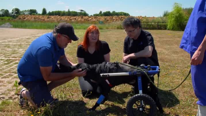 [Image: jhfq7rttt745.jpg]