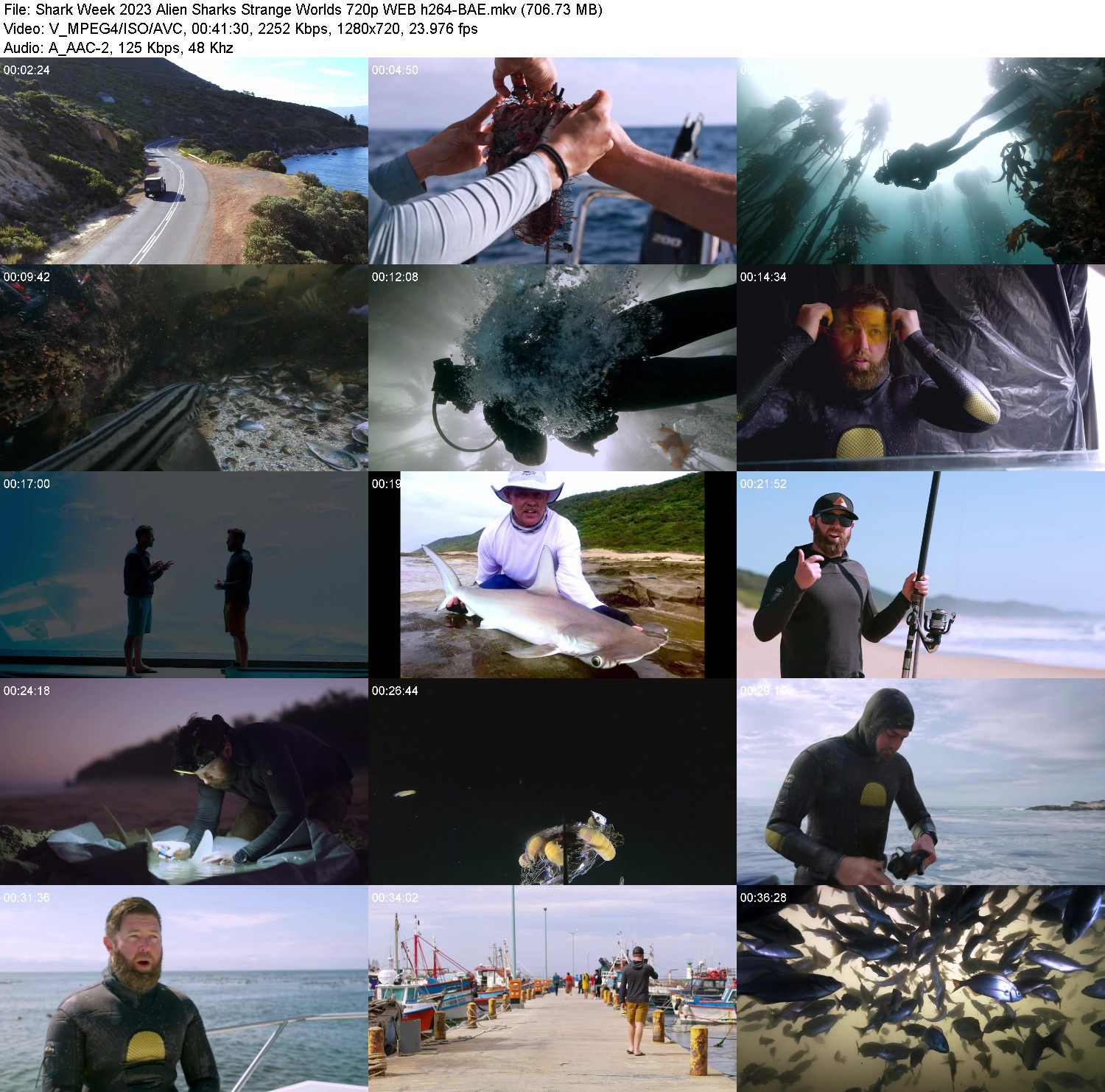 [Image: sy8zibq6c00k.jpg]