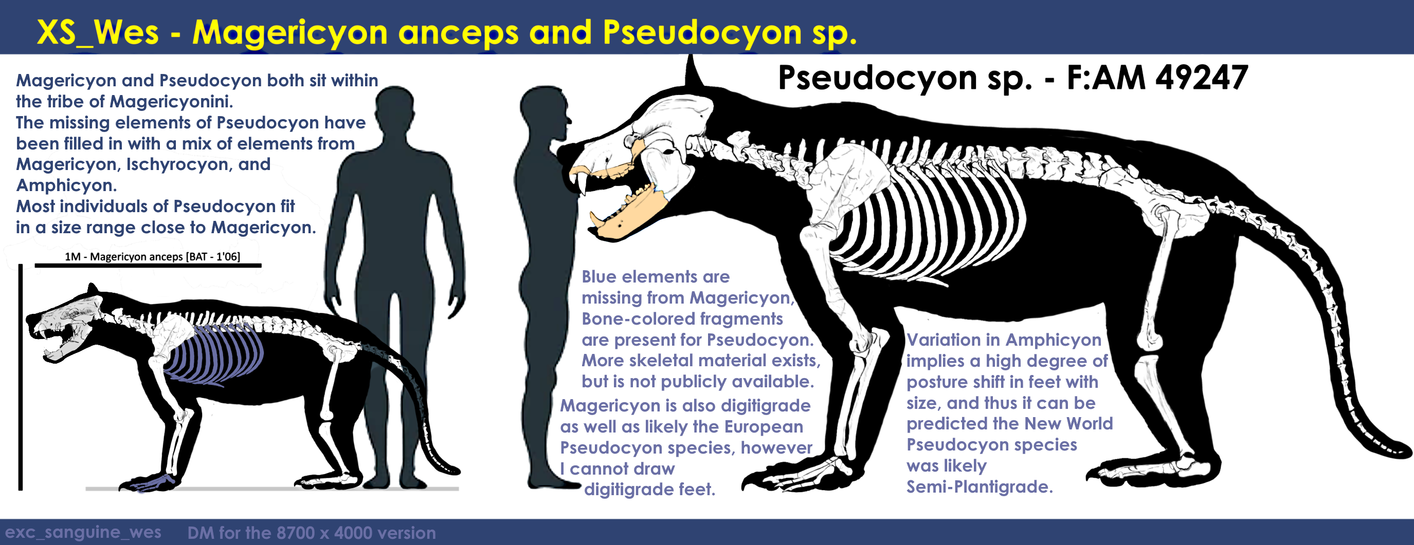 https://i.postimg.cc/x0y9RXt3/jeay8u6pe2we1.png
