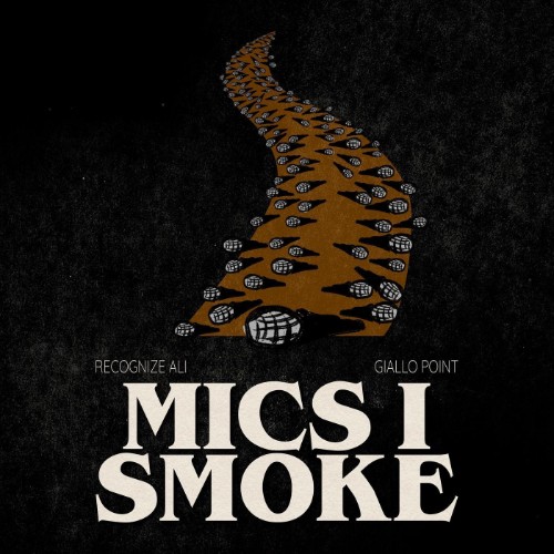 Recognize-Ali-And-Giallo-Point-Mics-I-Sm