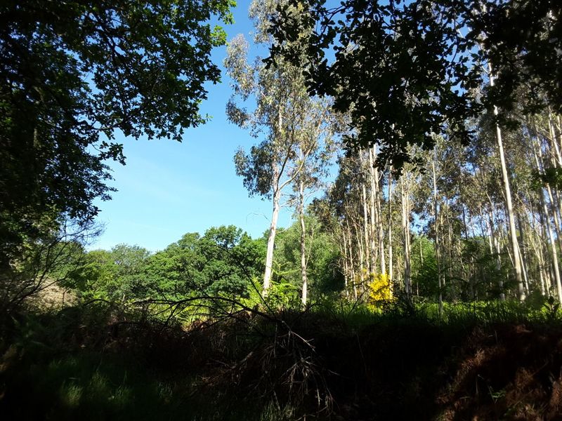IMG-20170520-WA0040