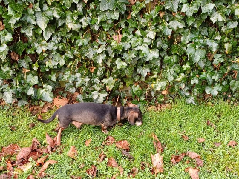 [Image: IMG-20240213-WA0007.jpg]