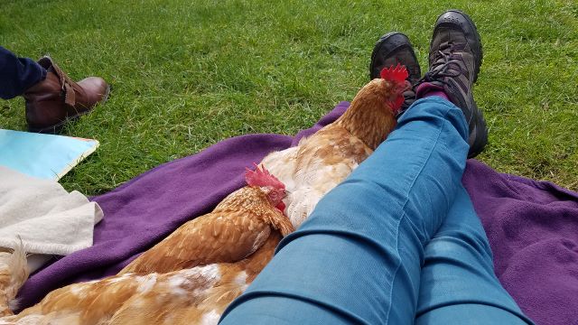 20190823_115845 (640x360)