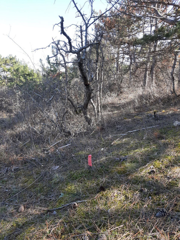 IMG 20260305 172250 178