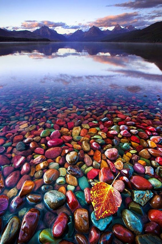 multipebbles.jpg